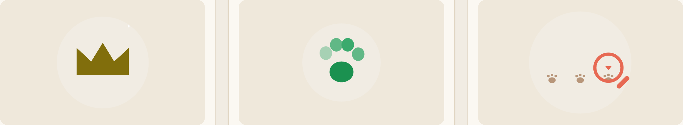MewGuard Lottie motion kit — crown, paw-loader and search animations